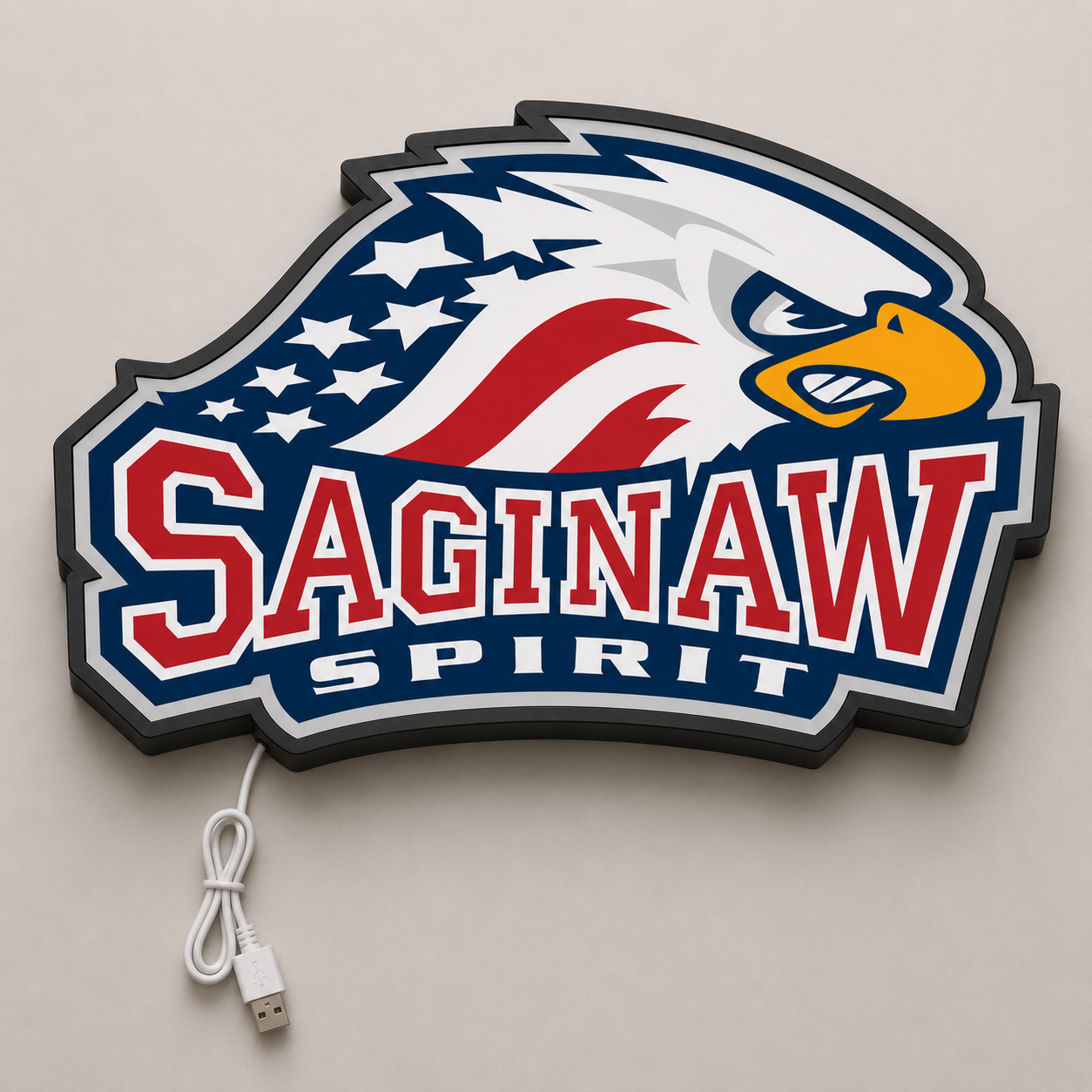 Saginaw Spirit LED Sign shown in daylight