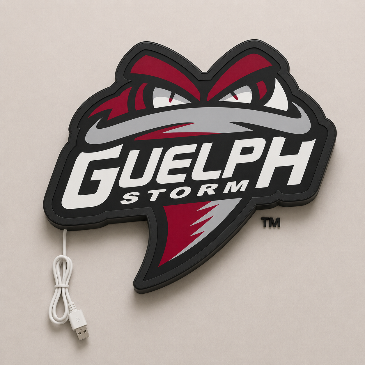 Guelph Storm 2015 LED Sign shown in daylight