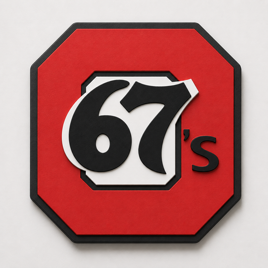 Ottawa 67's 3D Wall Plaque