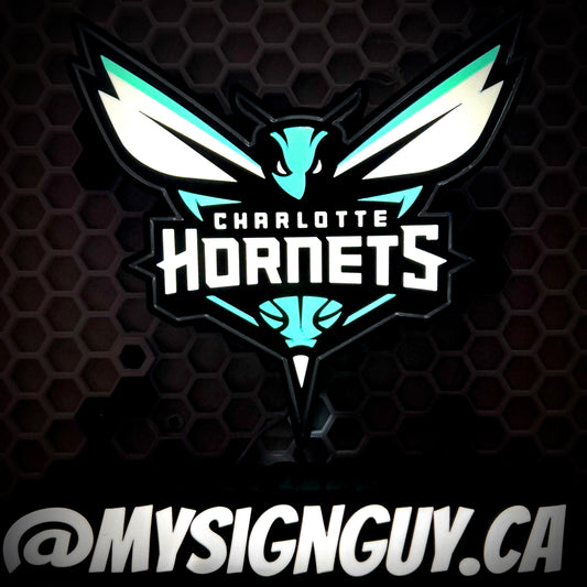 Charlotte Hornets LED Bar Light