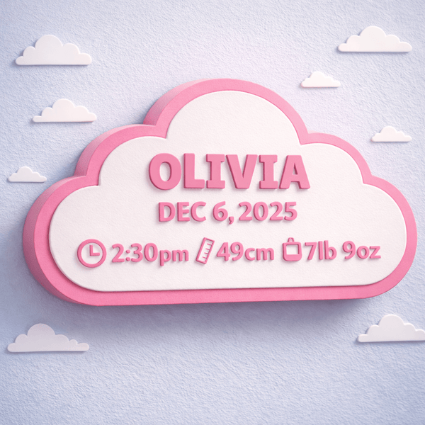 Birth Story Wall Plaque - Sign Guy