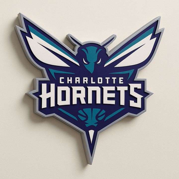 Charlotte Hornets 3D Plaque