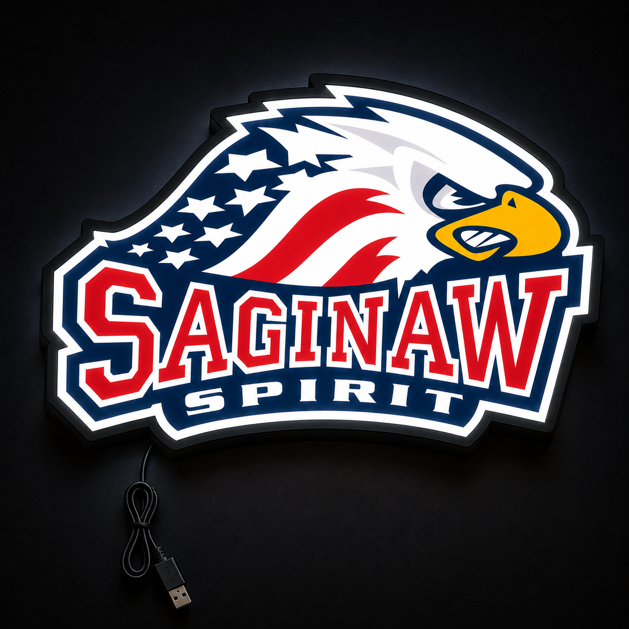 Saginaw Spirit LED Bar Light