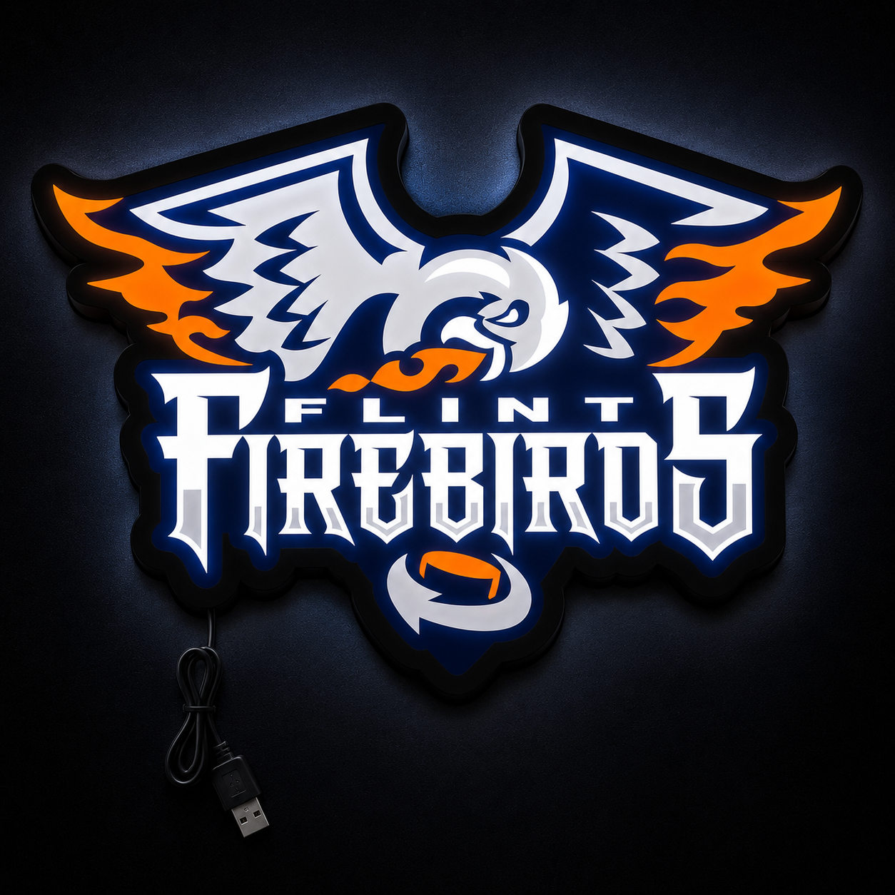 Flint Firebirds LED Sign