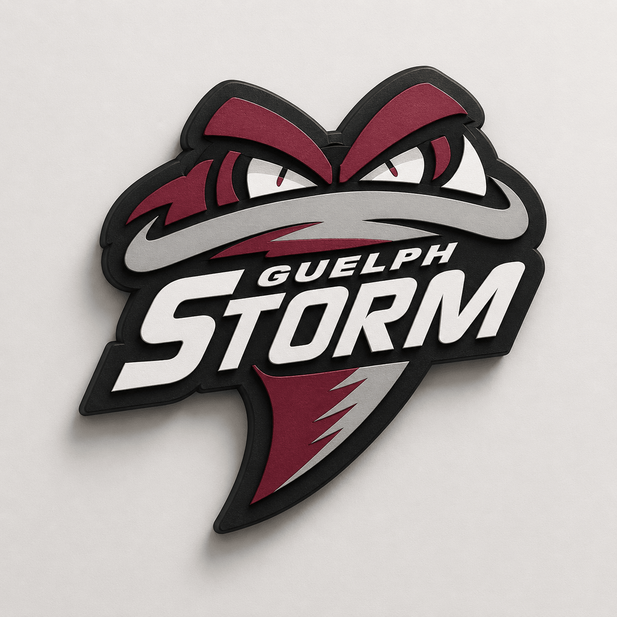 Guelph Storm 3D Wall Plaque - Sign Guy