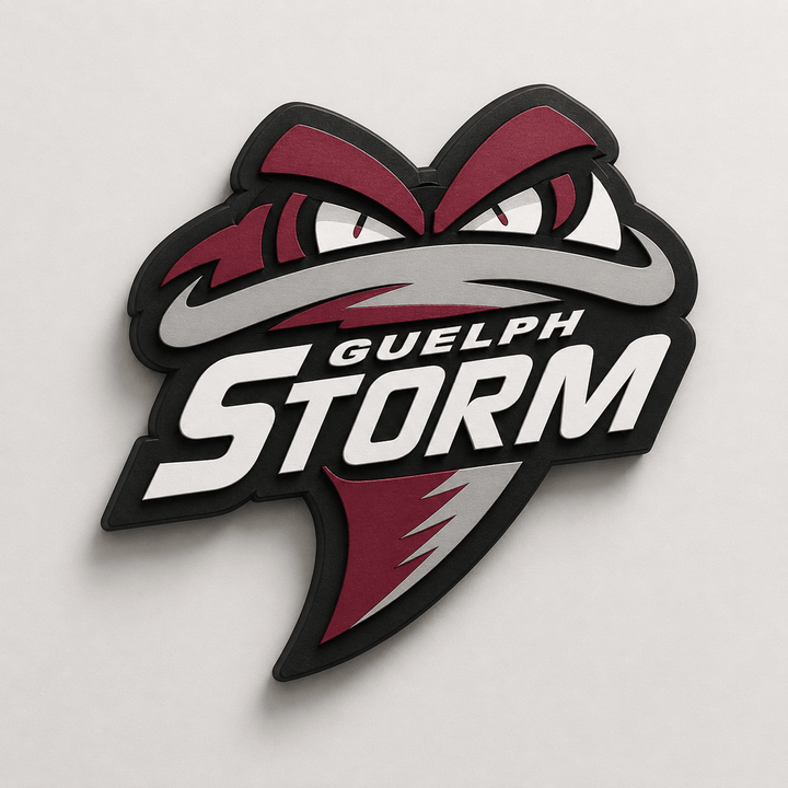 Guelph Storm 3D Wall Plaque - Sign Guy