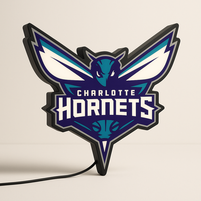 Charlotte Hornets LED Bar Light