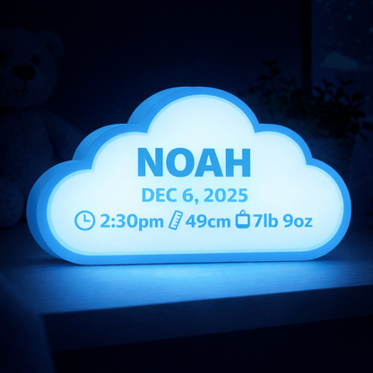 Birth Story Night Light - Sign Guy